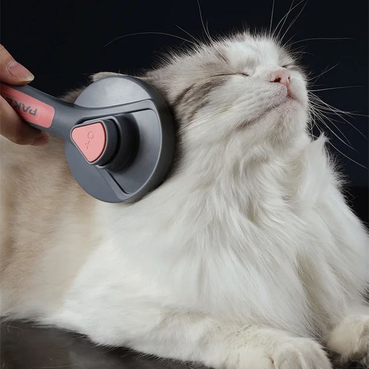 GROOMING