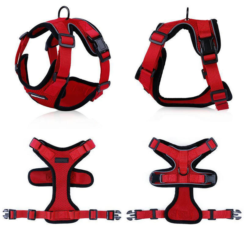 PAW-PROWL WALKING HARNESS