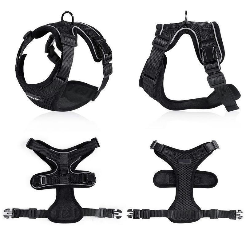 PAW-PROWL WALKING HARNESS