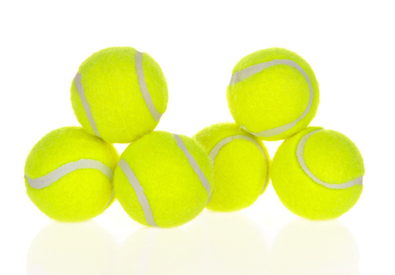 DOG AUTOMATIC BALL LAUNCHER