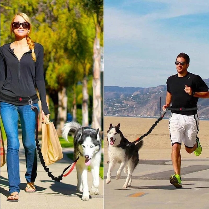 HARNESS COLLAR ADJUSTABLE LEASHES