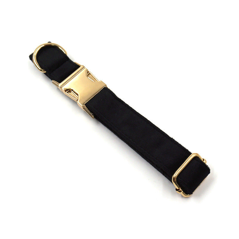 ANTI-LOST FASHION COLLAR