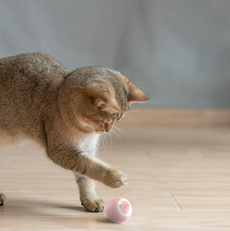 AUTOMATIC ROLLING SMART BALL