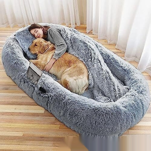 QUEEN BED AND PLUSH SOFA
