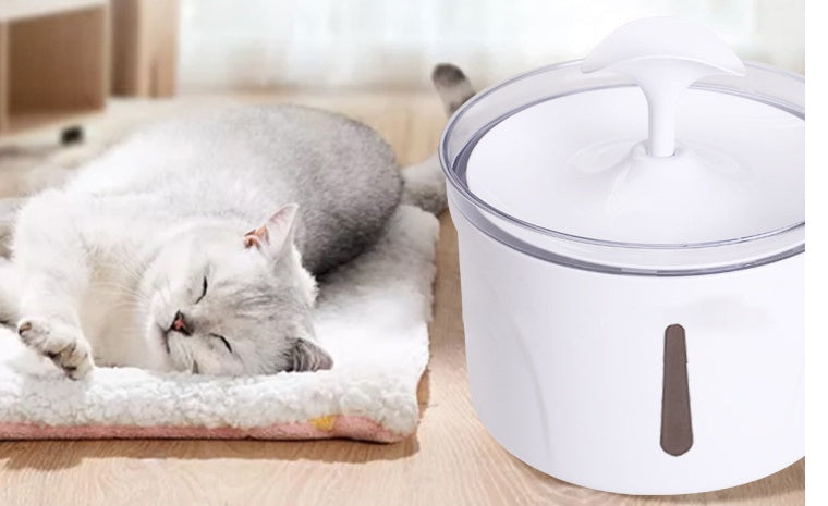 PET WATER FILTER AND DISPENSERR