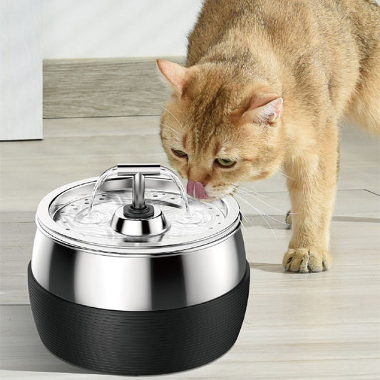 CAT WATER DISPENSER
