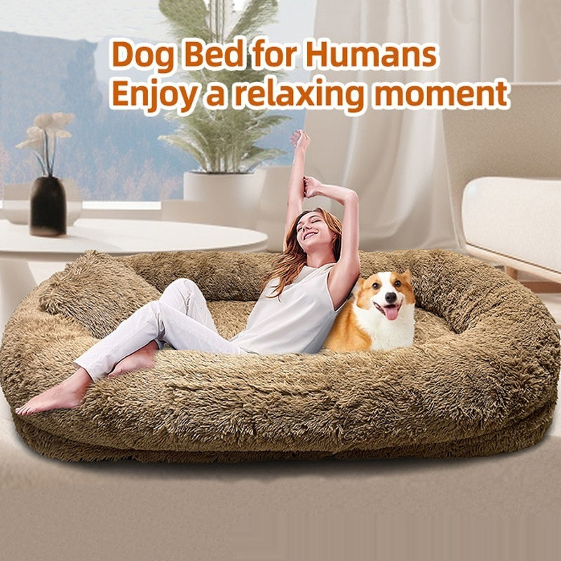 QUEEN BED AND PLUSH SOFA