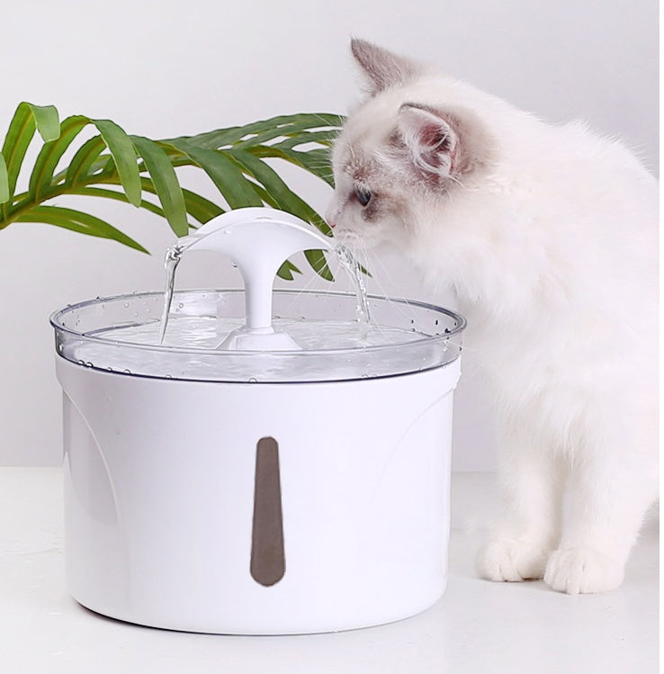 PET WATER FILTER AND DISPENSERR