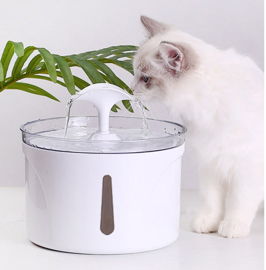 PET WATER FILTER AND DISPENSERR
