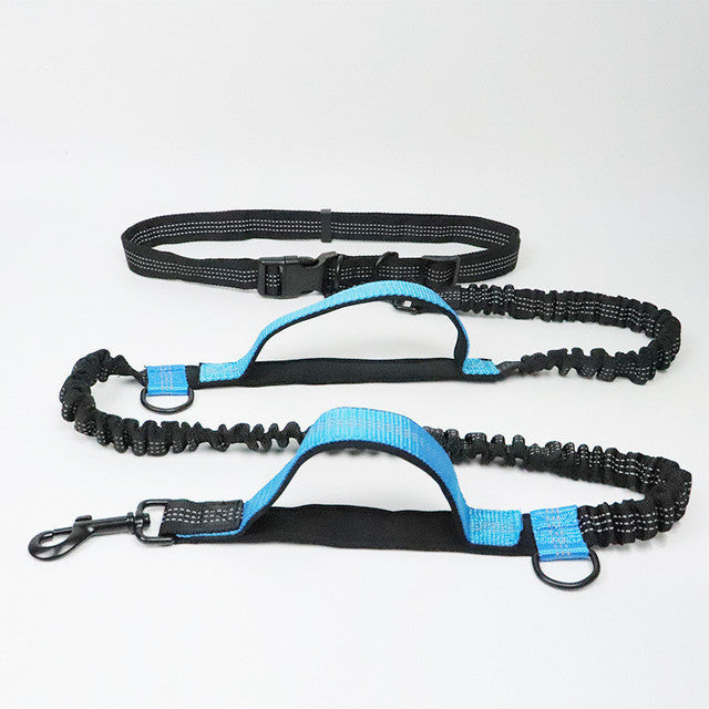 HARNESS COLLAR ADJUSTABLE LEASHES