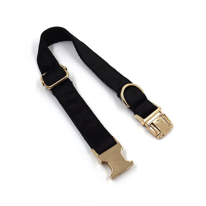 ANTI-LOST FASHION COLLAR