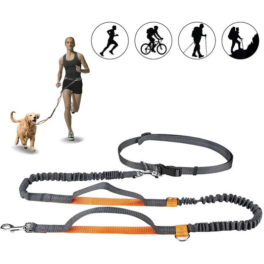 HARNESS COLLAR ADJUSTABLE LEASHES
