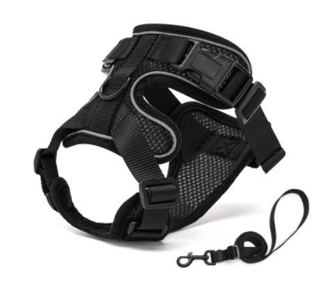 PAW-PROWL WALKING HARNESS