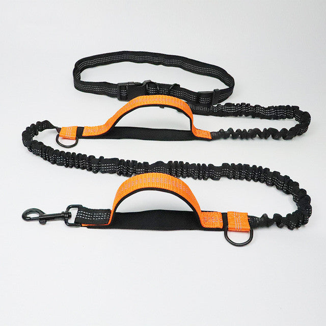 HARNESS COLLAR ADJUSTABLE LEASHES